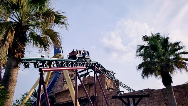 Cobra's Curse