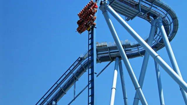 Griffon