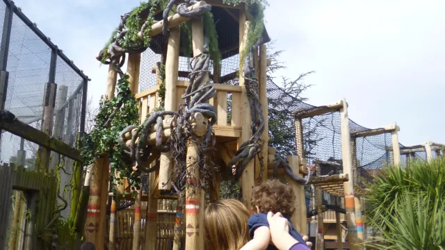 AMAZU: Treetop Adventure