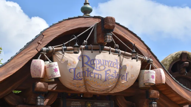 Raiponce Tangled Spin