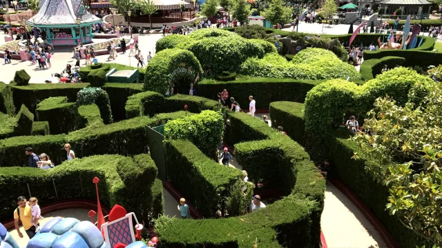 Alice's Curious Labyrinth