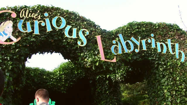 Alice's Curious Labyrinth