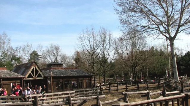 Frontierland Playground