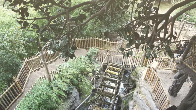 La Cabane des Robinson