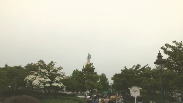 Sleeping Beauty Castle