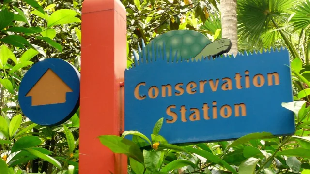 Animal Care at Conservation Station