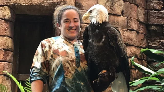 Feathered Friends in Flight!