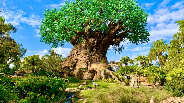 Tree of Life