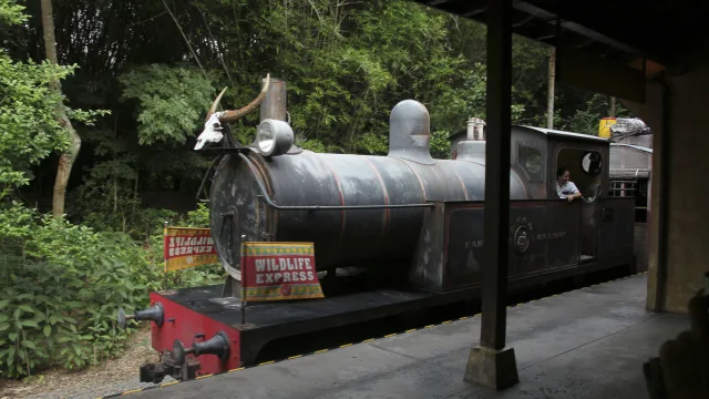 Wildlife Express Train