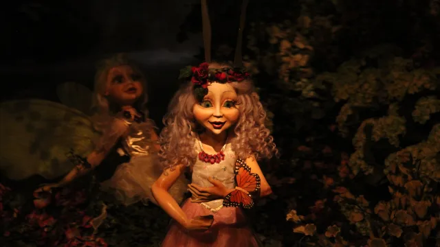 Droomvlucht Fairies