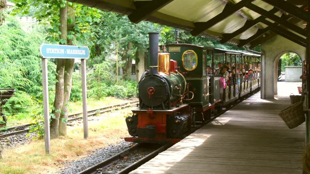 Stoomtrein - Marerijk