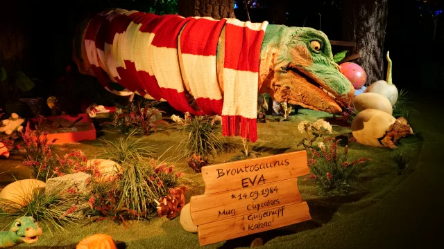 DINO MATES 4D
