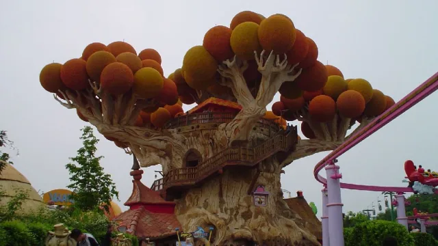 Magic House