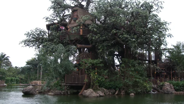 Tarzan's Treehouse