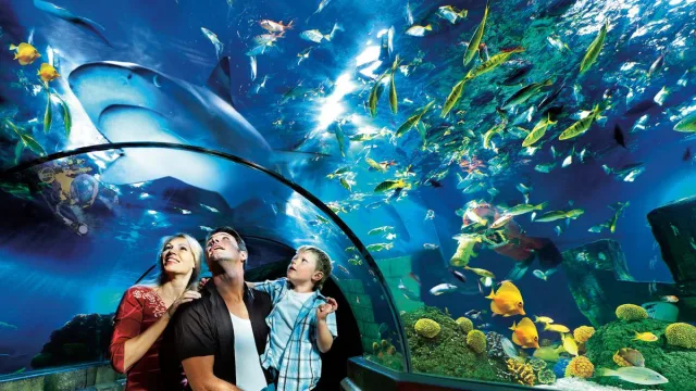 Atlantis by SEA LIFE™