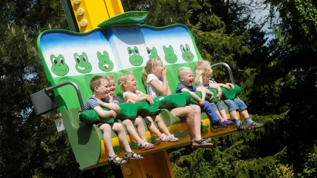 Frog Hopper