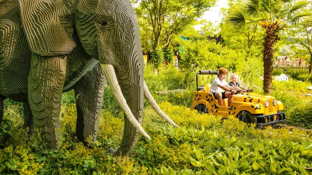 Safari Tour