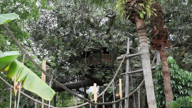 Swiss Family Treehouse