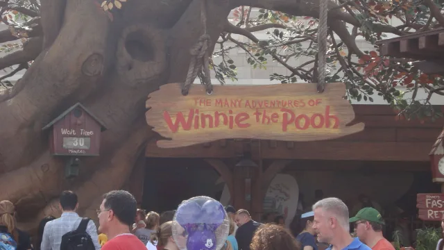 The Many Adventures of Winnie the Pooh