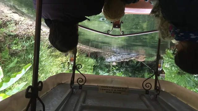 Africa Cruise