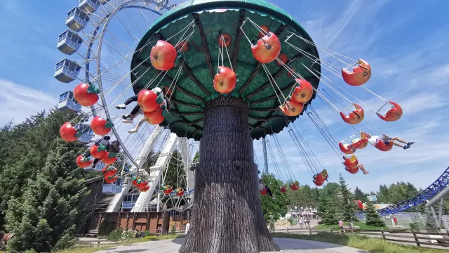 Apple Flight
