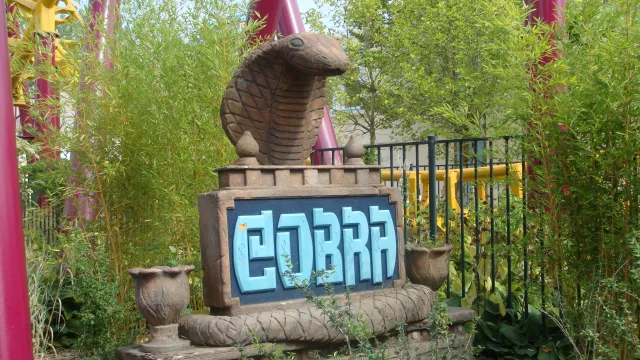COBRA