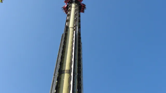 DALTON TERROR