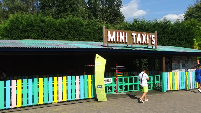 Mini Taxi's