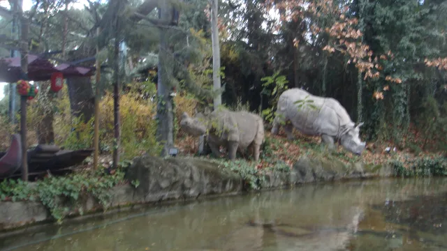 La Jungla
