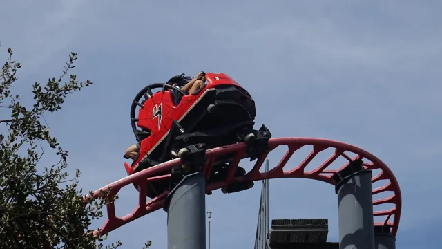 Tarántula