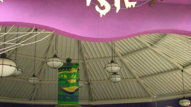Las Tazas de SCOOBY DOO