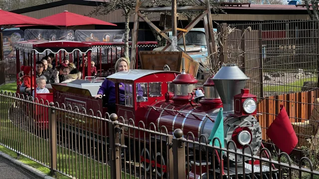 Rio Grande Train