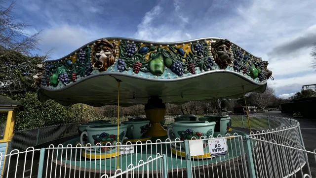 Tea Cup Ride