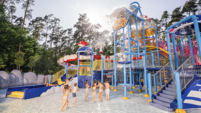 Giant Slide