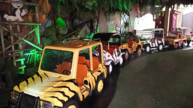 Safari