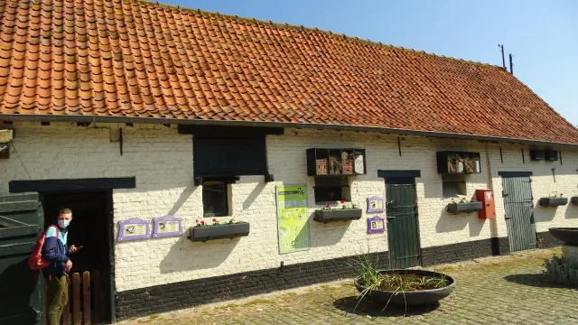 The Big & Betsy Farm