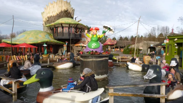 The Ducks