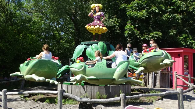 The Frogs