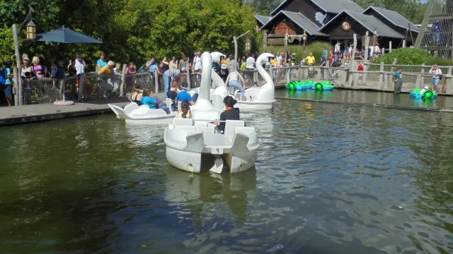 The Pedal Boats