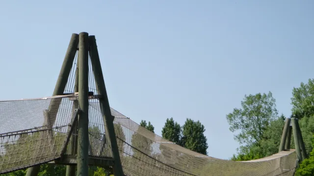 The Suspension Bridge