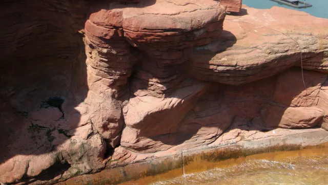 Grand Canyon Rapids
