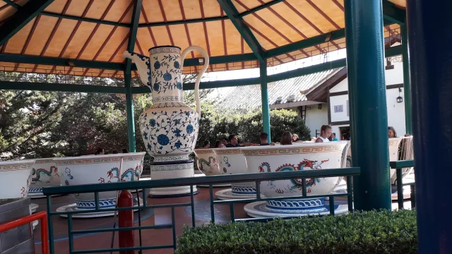 Tea Cups