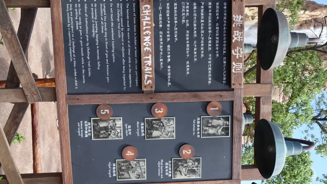 Challenge Trails at Camp Discovery