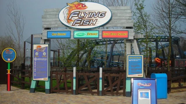Flying Fish