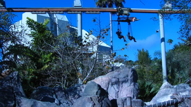 Pteranodon Flyers