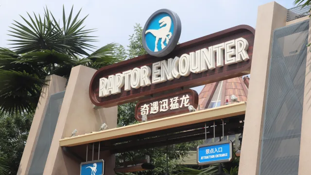 Baby Raptor