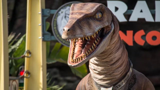 Raptor Encounter