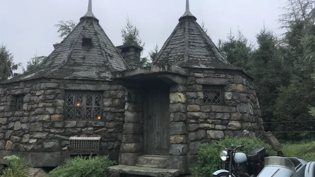 Hippogriff Magical Lesson