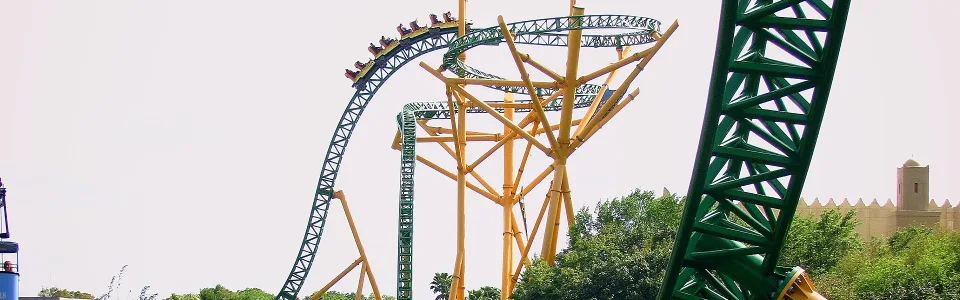 Cheetah Hunt