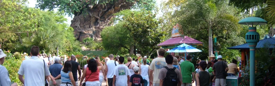 Disney's Animal Kingdom Theme Park